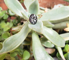 Load image into Gallery viewer, Oval Cremation Memorial Ash ring- (14k gold filled)